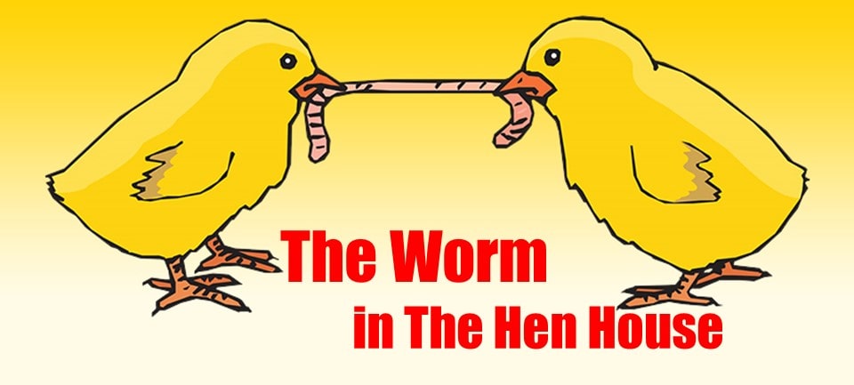 The 7 Noahide Laws and The Worm in The Hen House