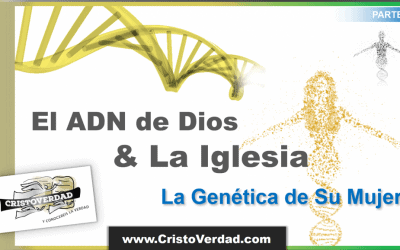 El ADN de Dios y La Iglesia, 2