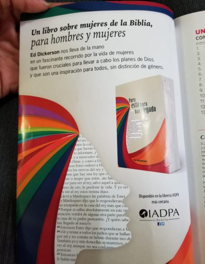 Mensaje directo, bandera gay en el pelo de la mujer