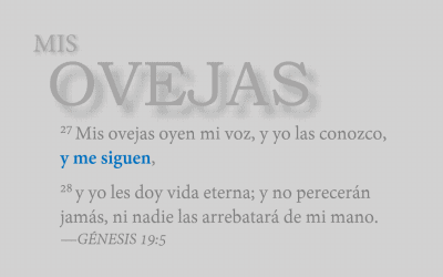 Si Somos Ovejas…