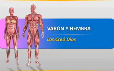 Varón y Hembra