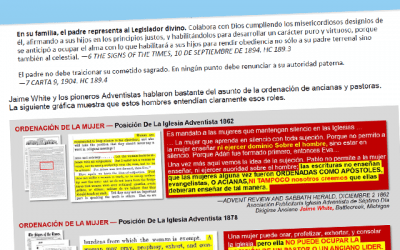 AÑO de S[E]LECCIÓN, Tiempo de Ordenación (DOCUMENTO)