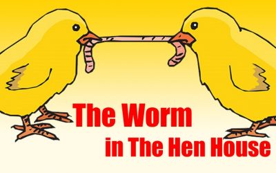 The 7 Noahide Laws and The Worm in The Hen House