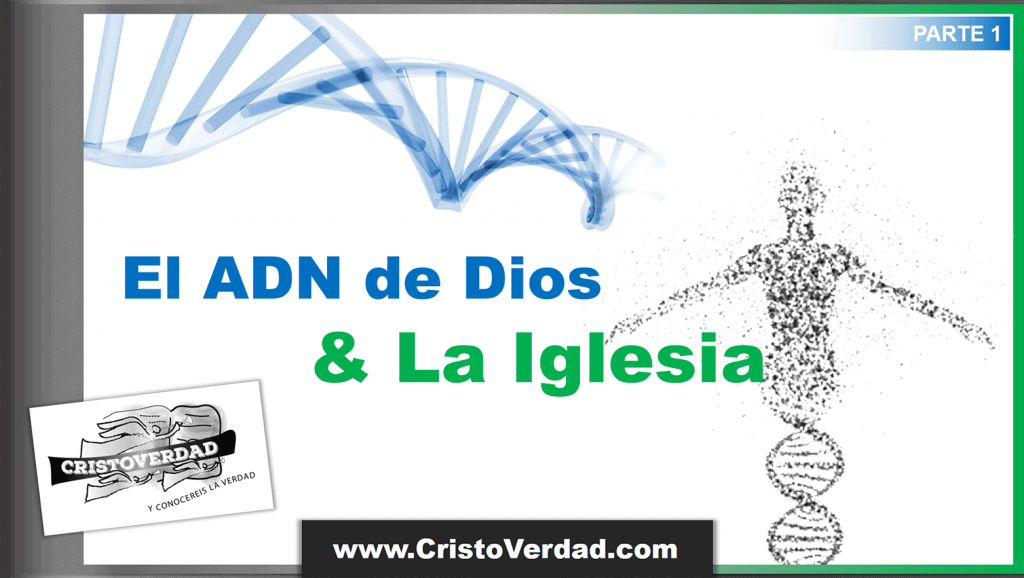 El ADN de Dios y La Iglesia, 1