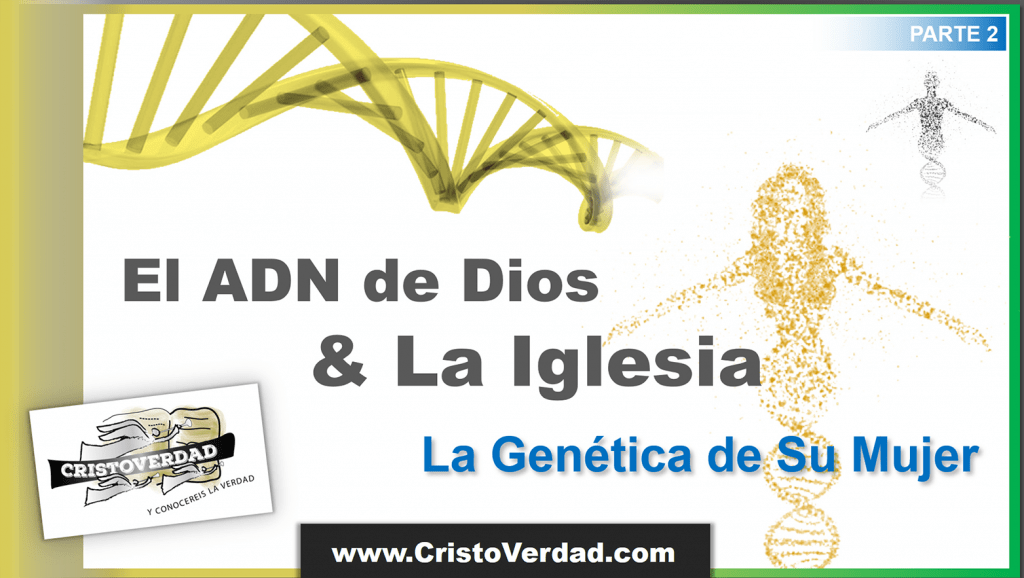 El ADN de Dios y La Iglesia, 2