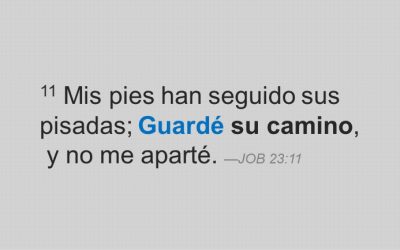 Texto Irrefutable del Día, No. 12 — Adán Guardó el Sábado